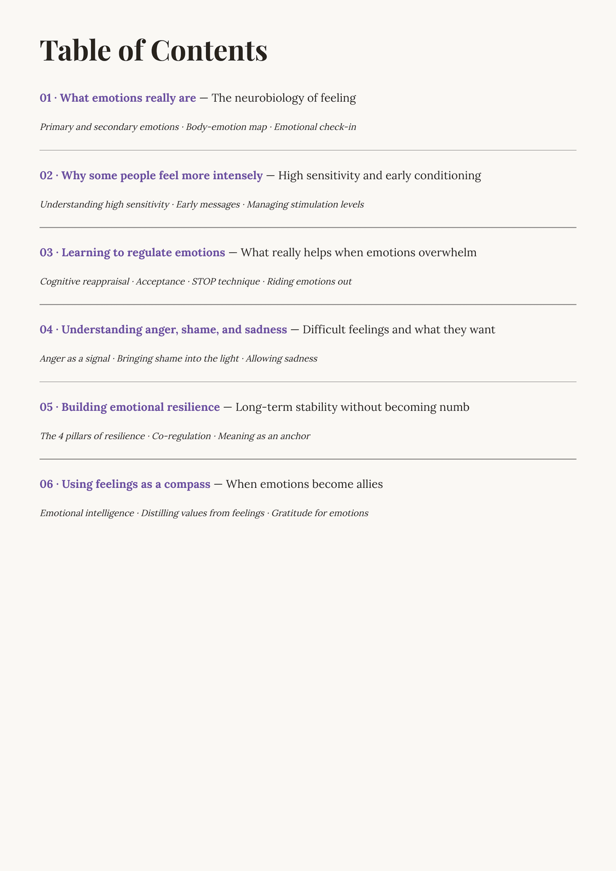 Feeling without being overwhelmed. — Contents
