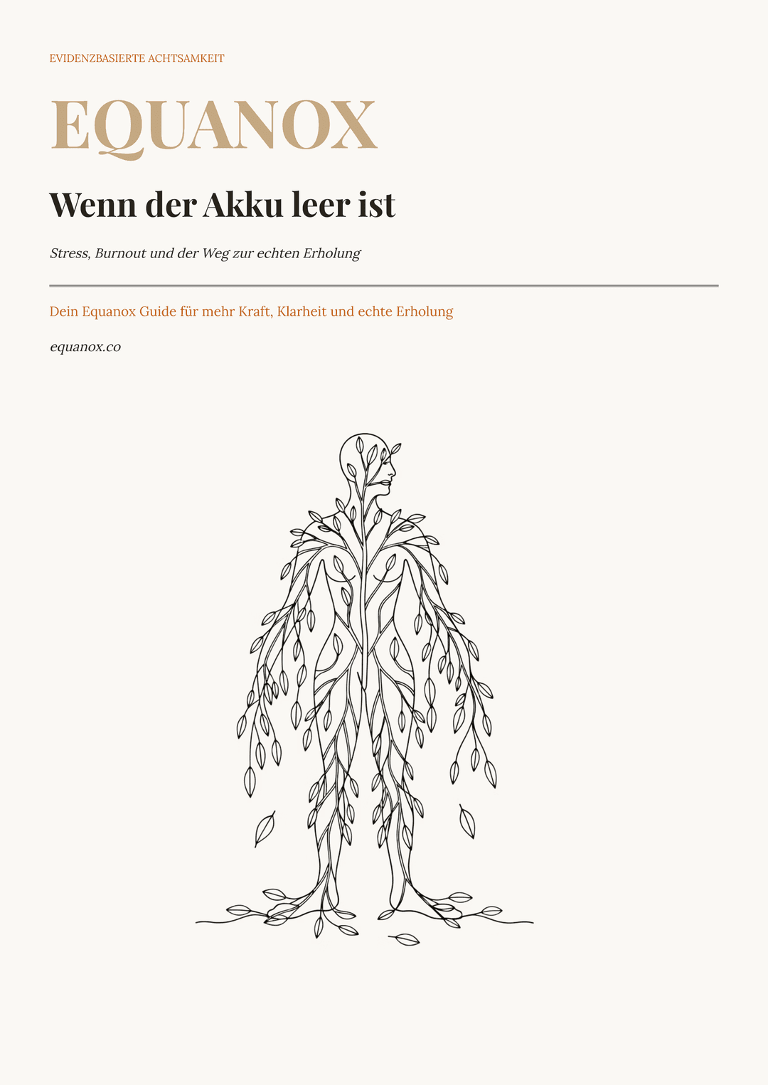 Wenn der Akku leer ist. — Equanox eBook